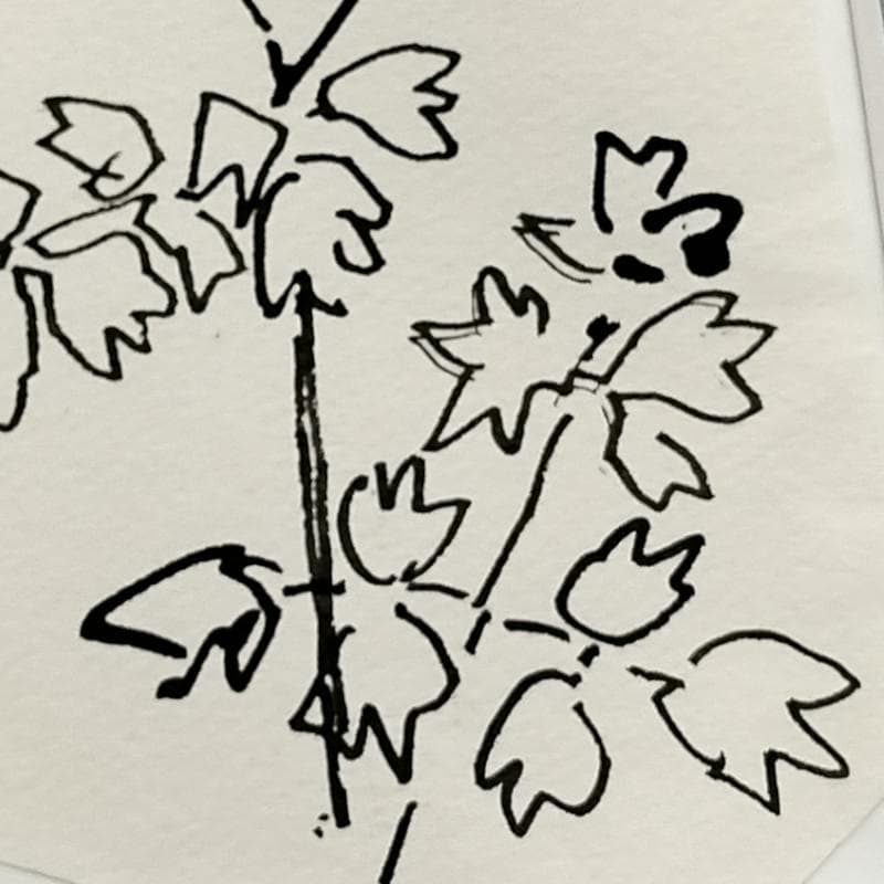 ☆坂本直行☆「 からまつそう 」ペン画　インチサイズ　未使用！