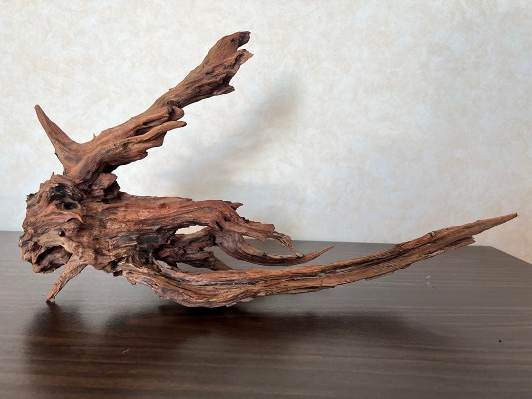 HX-080 流木 ホーンウッド マシンガンウッド アクアリウム ブランチ