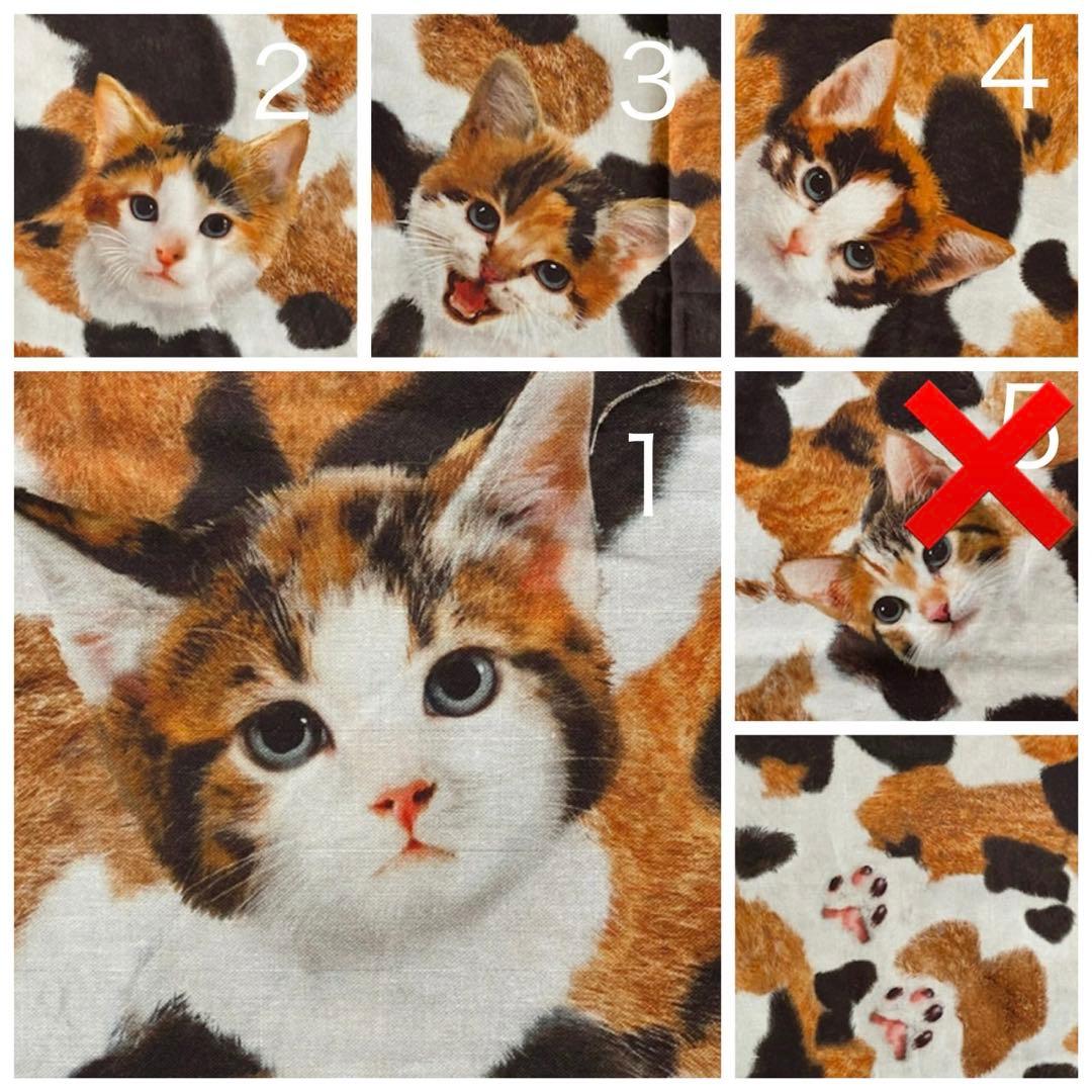 yuki様　お顔確認用です