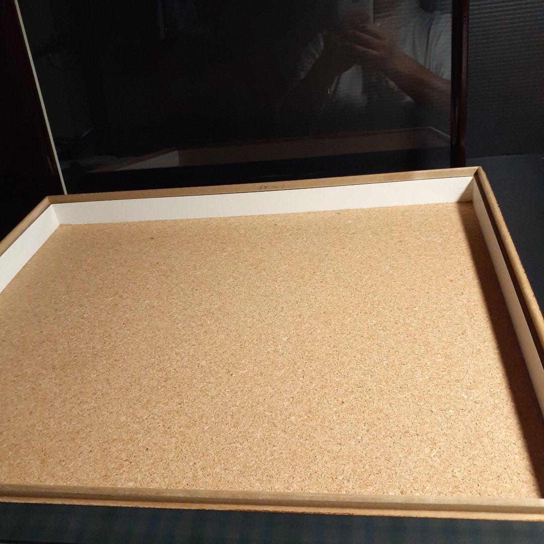 大型ドイツ標本箱(志賀昆虫普及社)、2箱セット