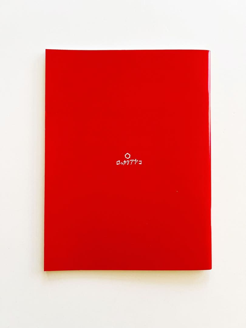 ロッカクアヤコ 千葉県立美術館 1000部限定パンフレット