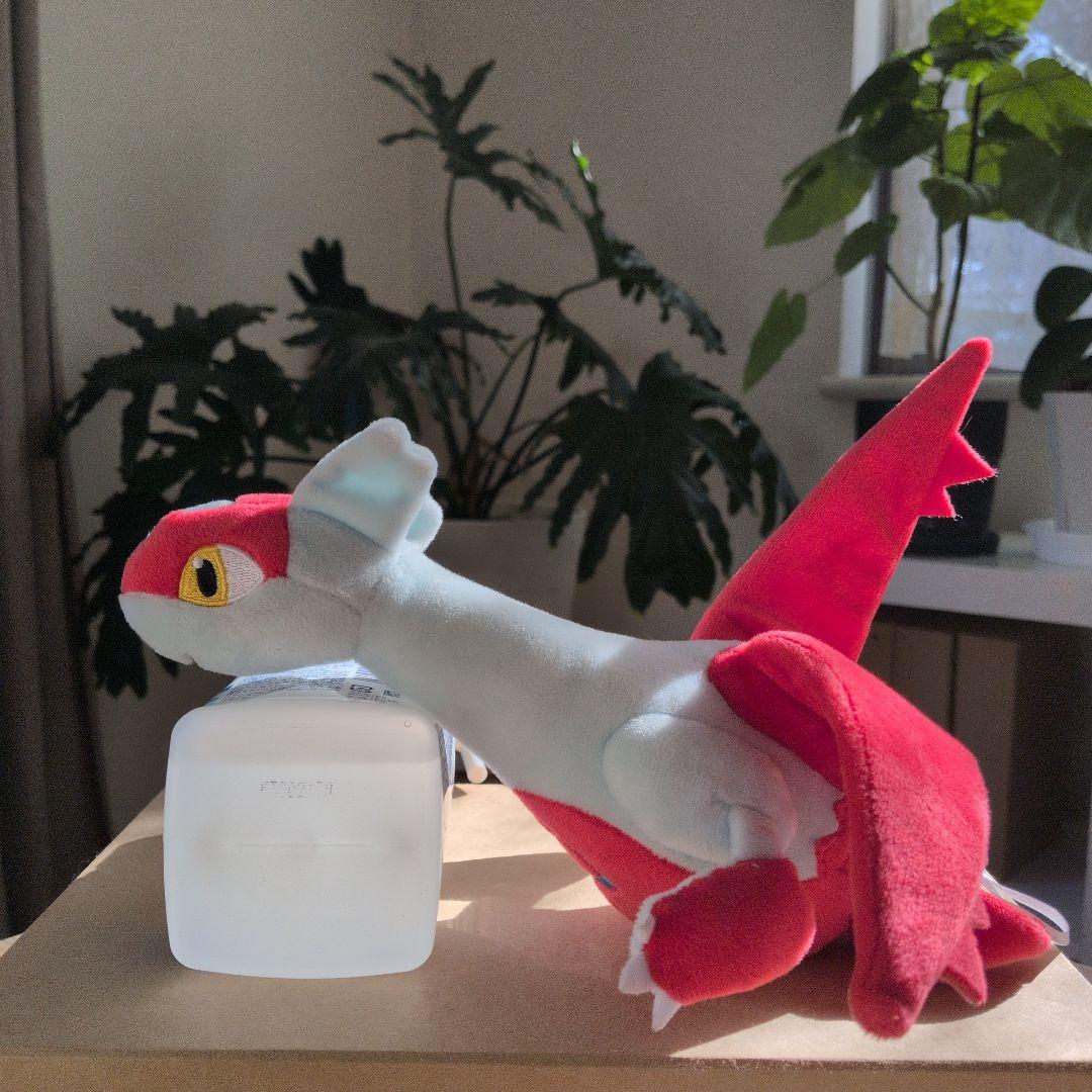 ポケモンセンター　ぬいぐるみ　まとめ売り