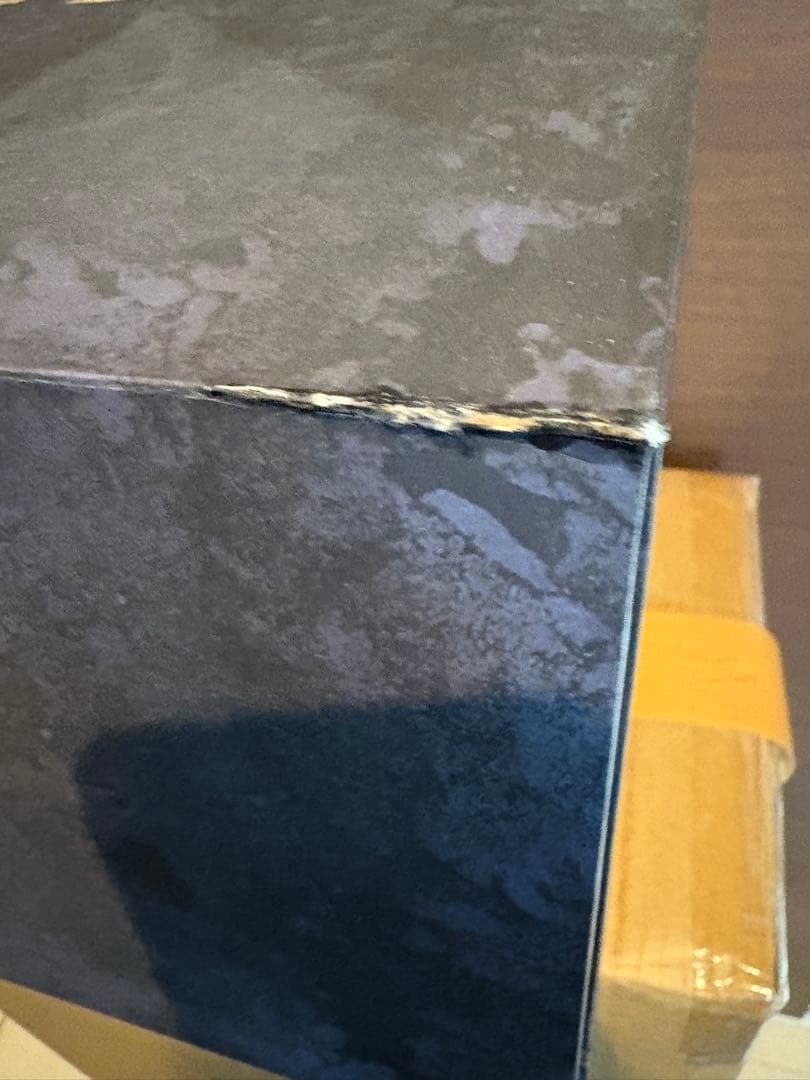 【Dragon’s Dogma】ドラゴンズドグマ限定版スタチュー