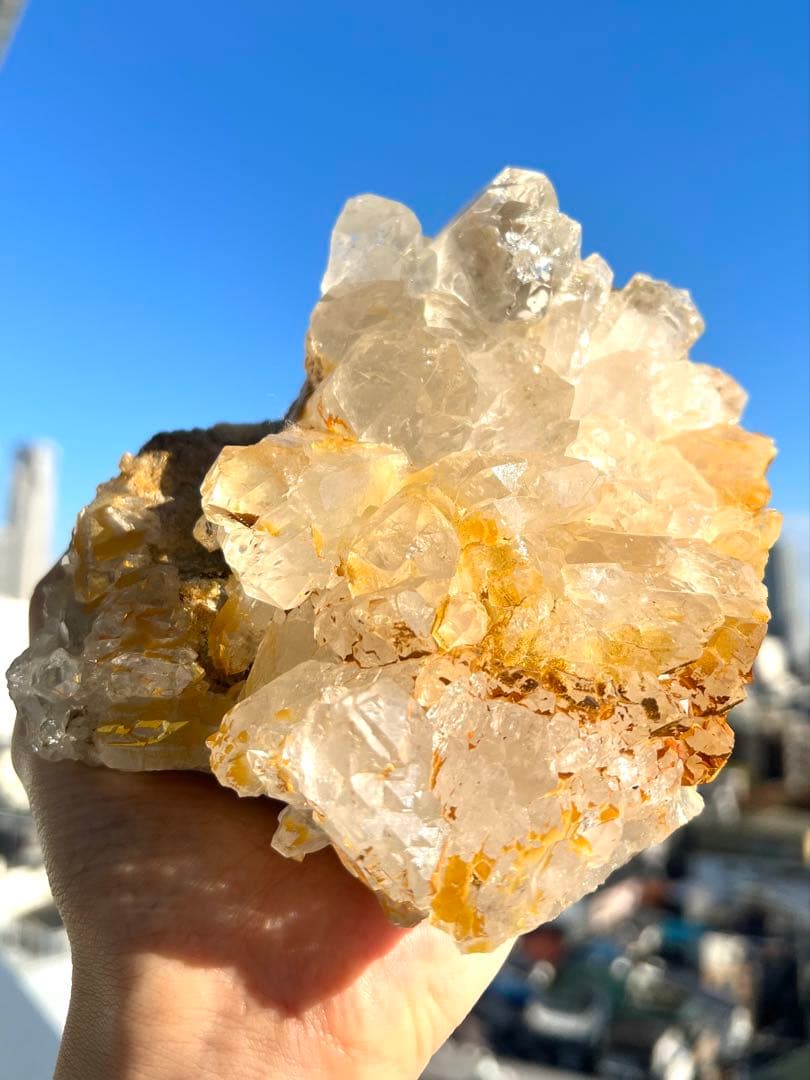 特別価格✨美✨希1.2k✨AAAAAゴールデン ガネッシュヒマール 黄金の華冠✨