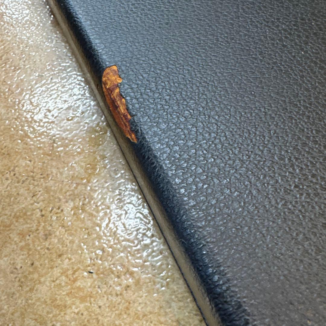 ビンテージ　バイオリン弓ケース 皮張り黒 仕切りあり12本入り