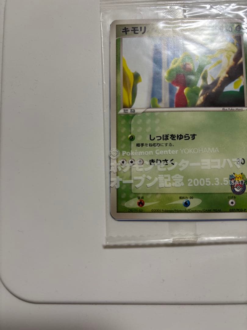 キモリ 037/PCG-P 2004 ポケモンセンター