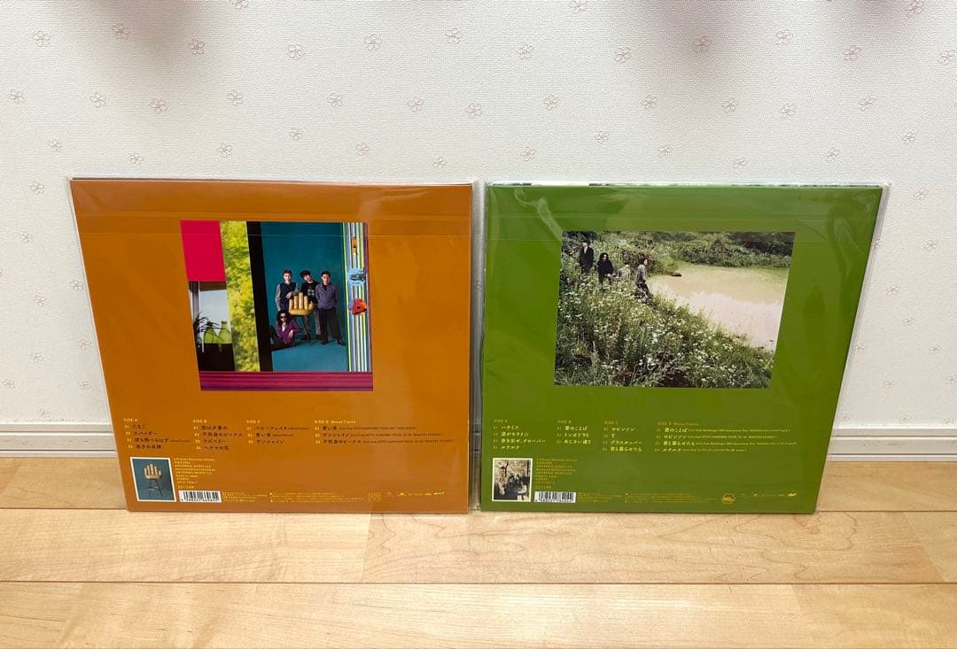 スピッツ レコード2枚／空の飛び方　ハチミツ【未開封】