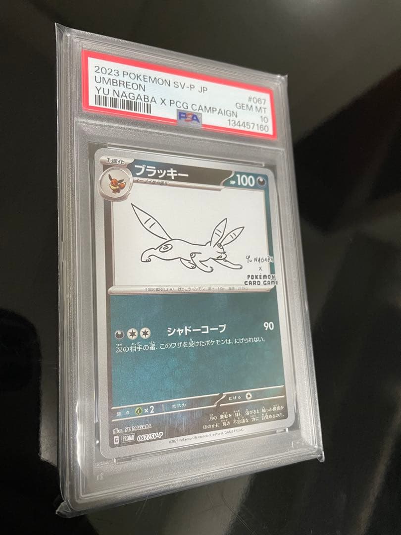 【極美品PSA 10】 ブラッキー 2023 POKEMON SV-P JP