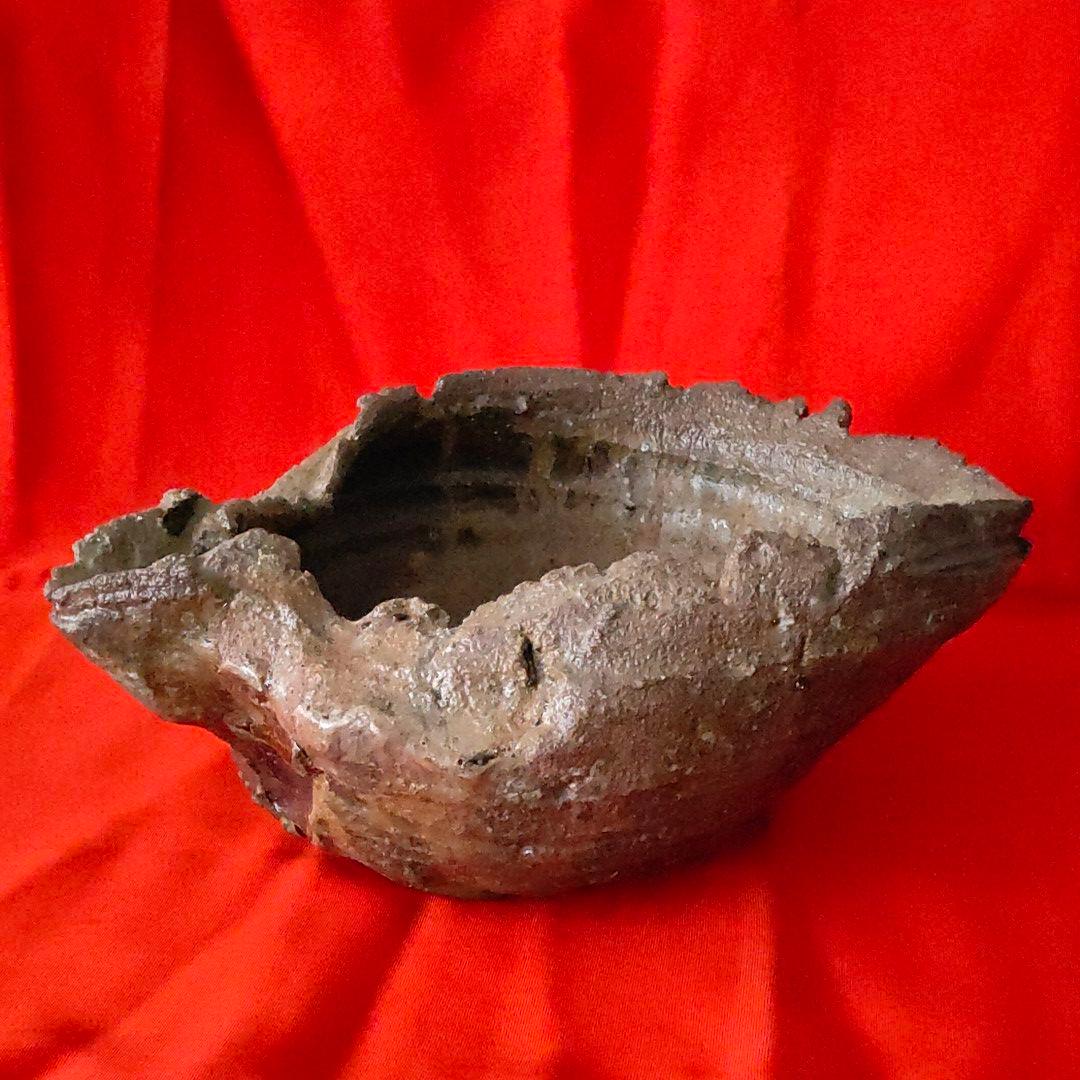 越前　片口　西浦武 越前 片口 西浦武 西浦武 - Takeshi NISHIURA-｜えにし庵