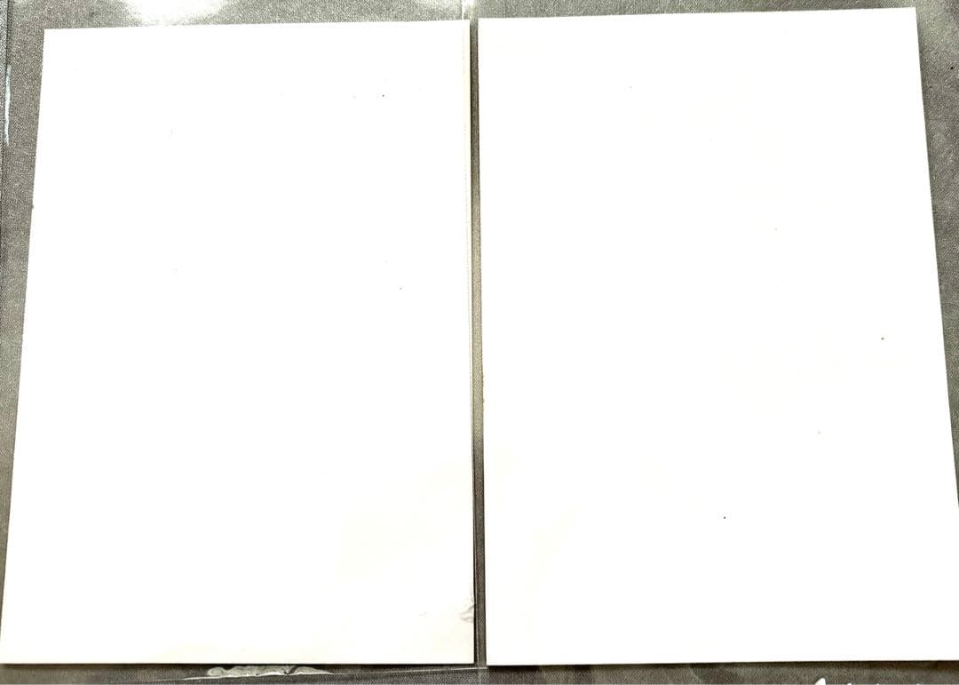 月刊Unlimited 道明寺ここあ、桜樹みりあ ブロマイド