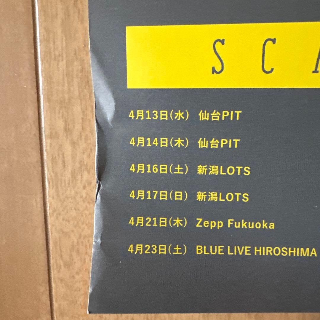 激レア品)SCANDAL スキャンダル　サイン入りポスター