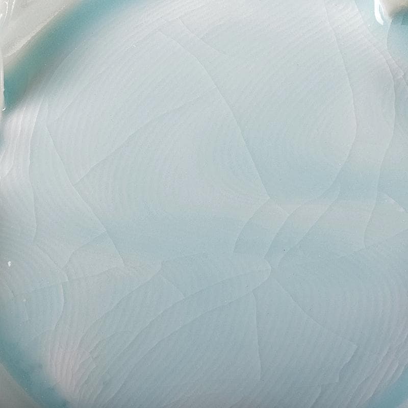 和食器 加藤洋二作 氷裂皿 五客 共箱 D R8094B