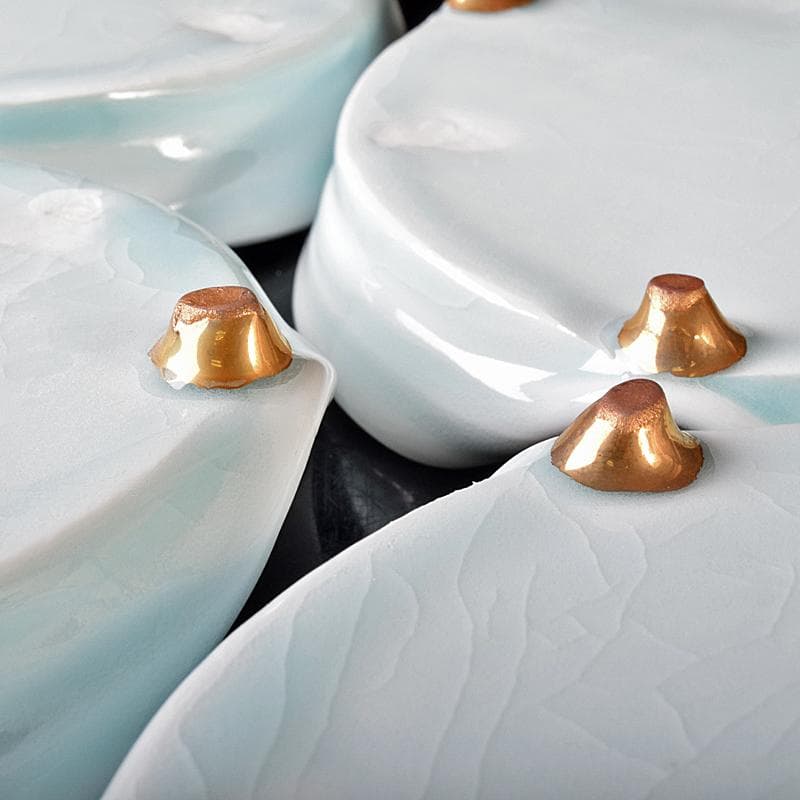 和食器 加藤洋二作 氷裂皿 五客 共箱 D R8094B