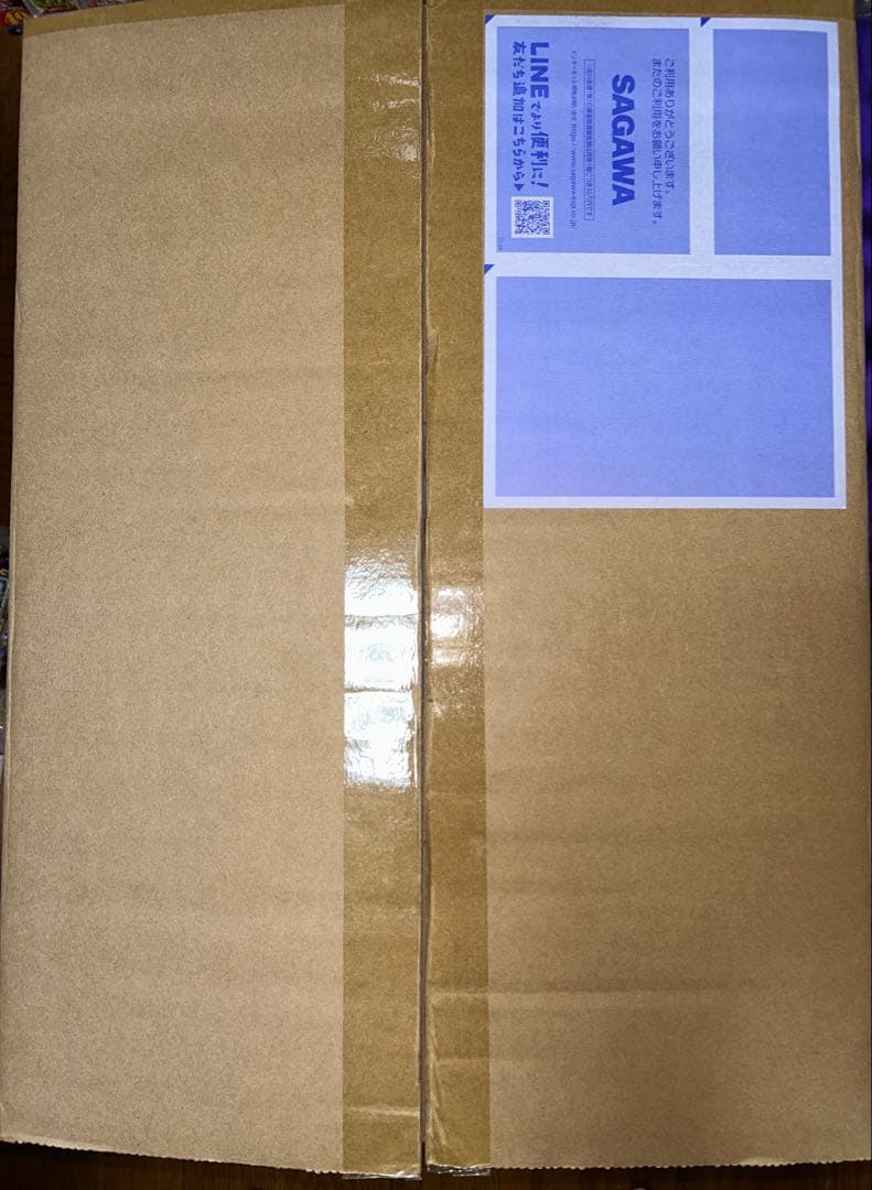 専用 東宝30cmシリーズ ゴジラ (2023) -1.0 少年リック限定版