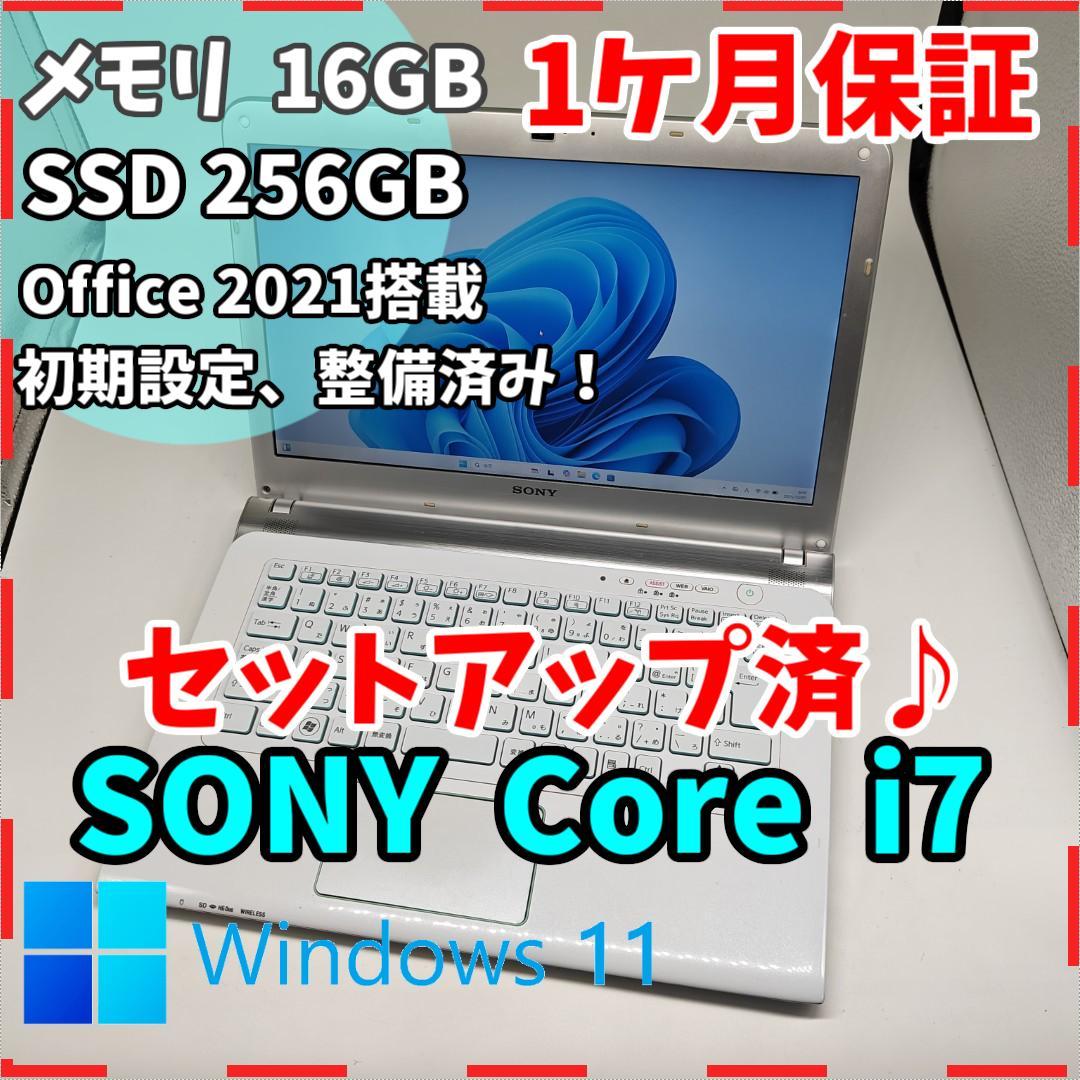 角蝉最大種】Hemikyptha marginata ツノゼミ セミ ホタ標本