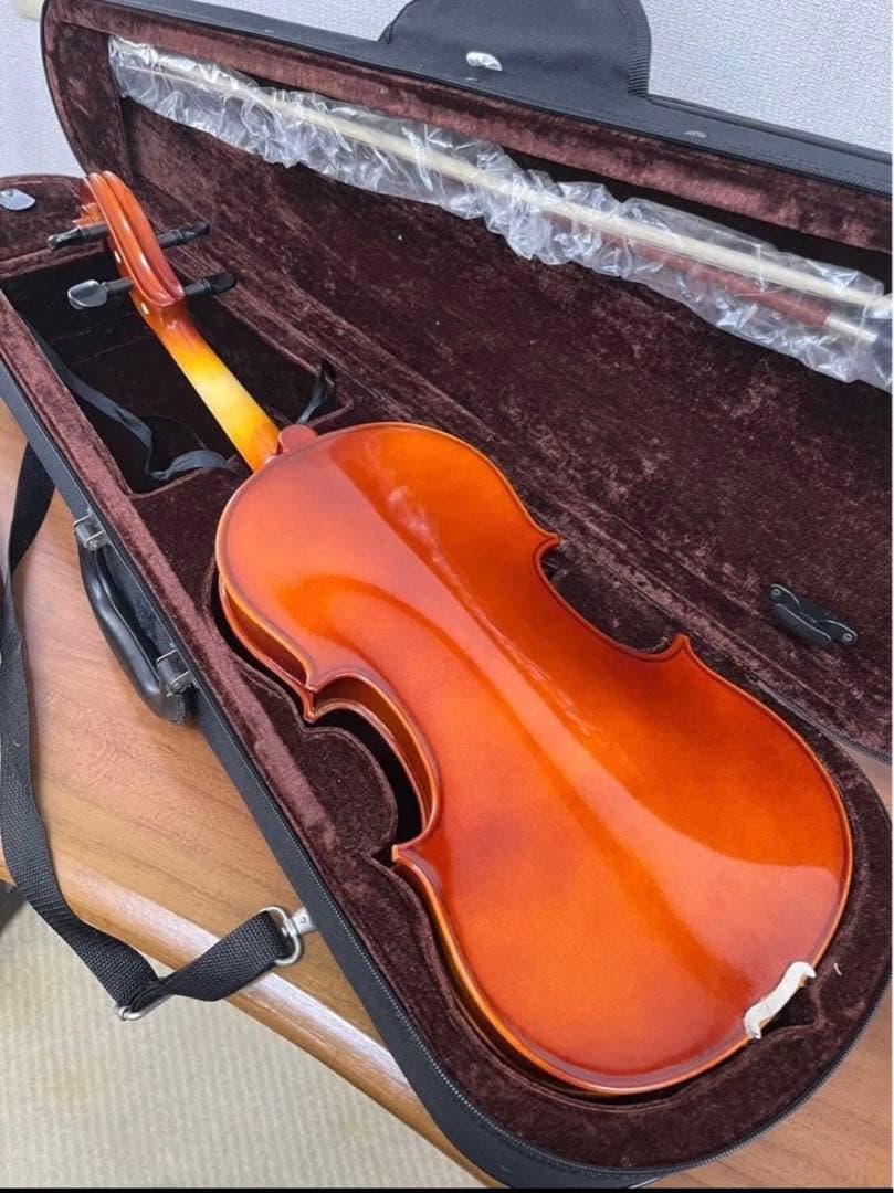 【新品】バイオリン CARLO GIORDANO/VS-1 (4/4サイズ)