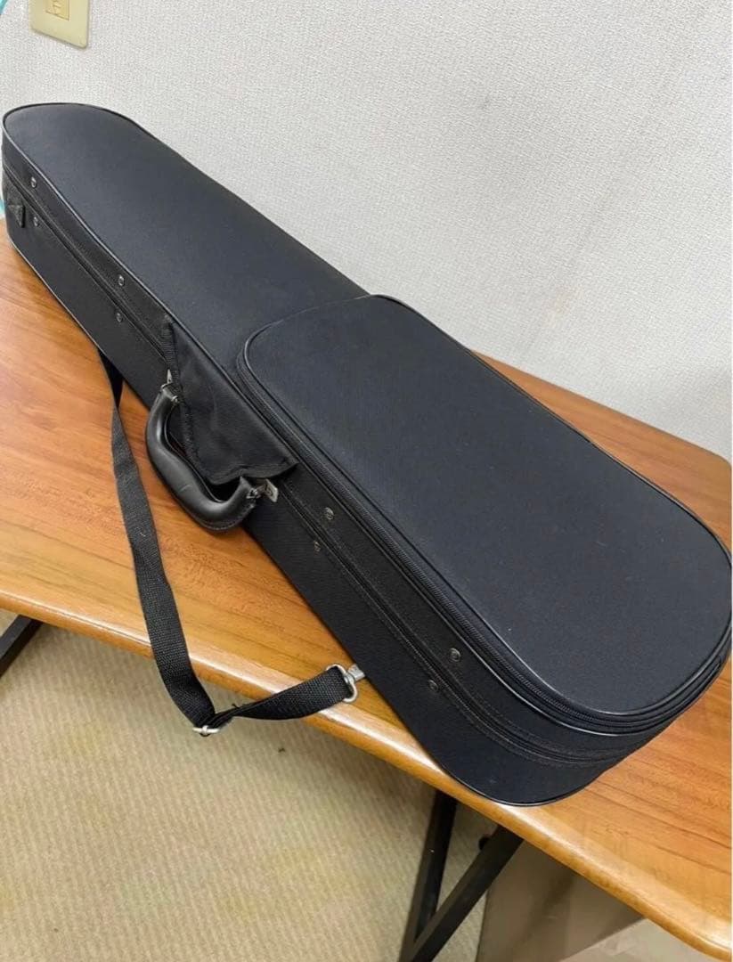 【新品】バイオリン CARLO GIORDANO/VS-1 (4/4サイズ)