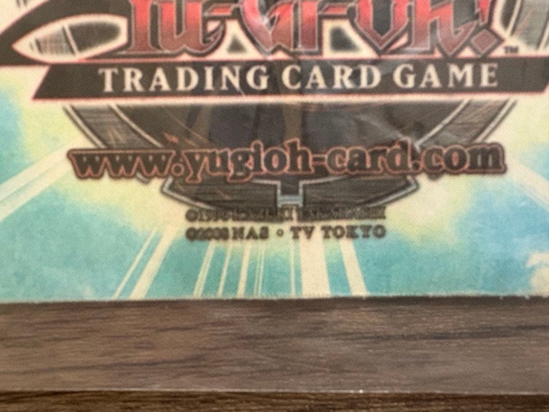 遊戯王公式ライトロードREGIONALQUALIFIER 2010 プレイマット