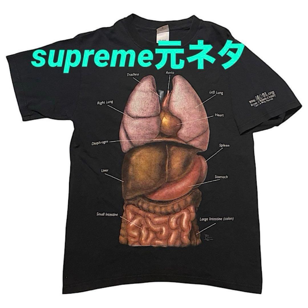 00s 人体模型 アナトミカルチャート Tシャツ 内臓 ビンテージ シュプリーム