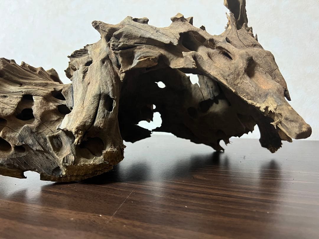 XM-198 流木 マシンガンウッド アクアリウム ブランチウッド 沈水確認済