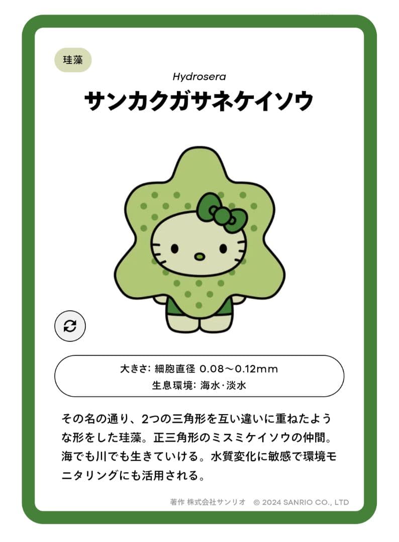 【まとめ売り】万博ハローキティ 藻ピンバッジ 4点セット