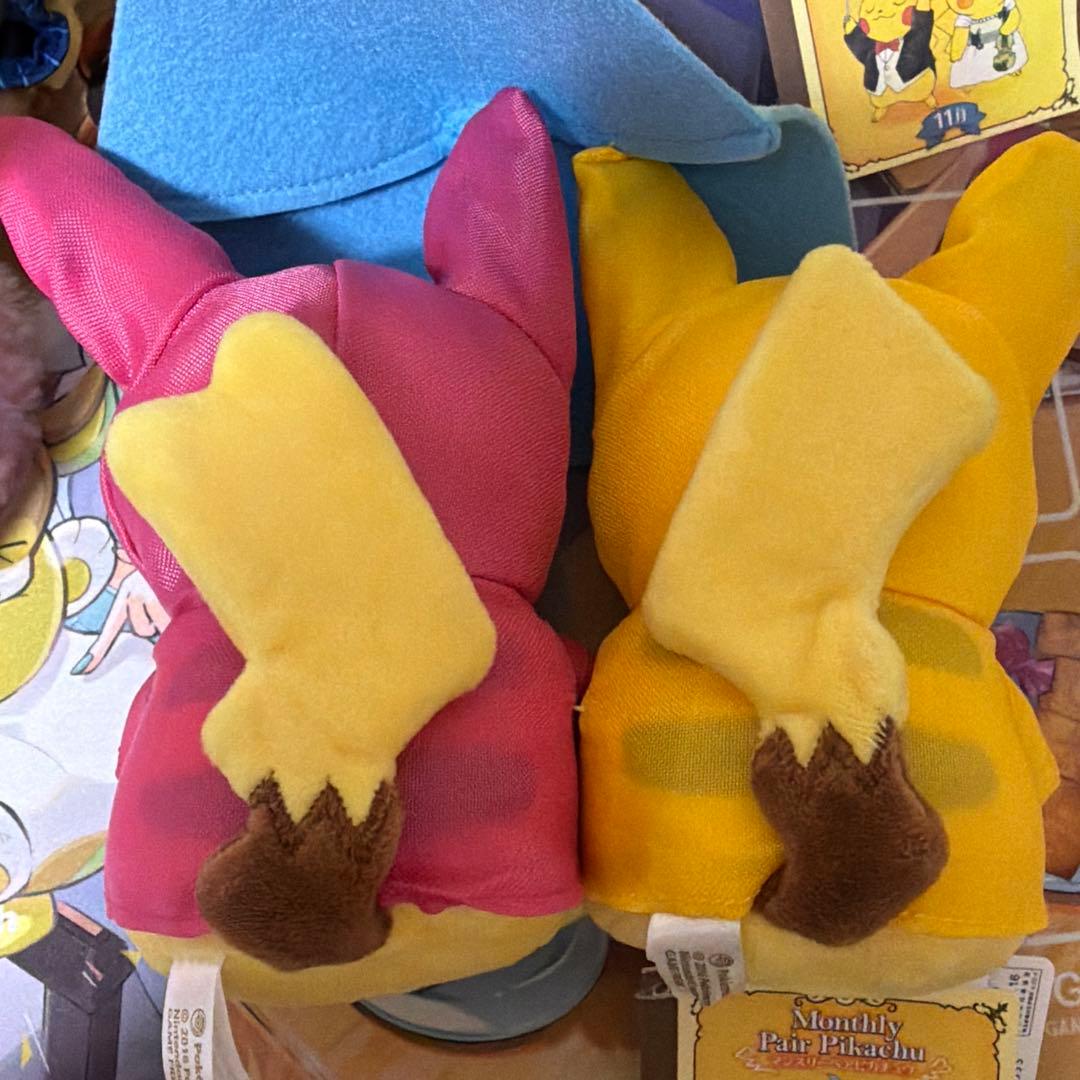 ぬいぐるみ シーズン ピカチュウ　イーブイ 冬　マンスリーピカチュウ　まとめ売り