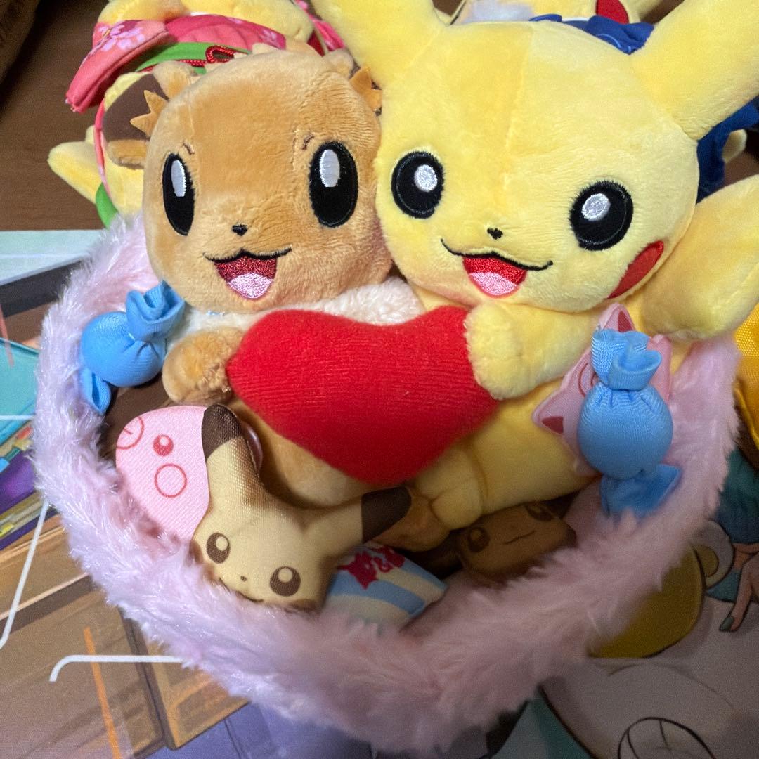 ぬいぐるみ シーズン ピカチュウ　イーブイ 冬　マンスリーピカチュウ　まとめ売り