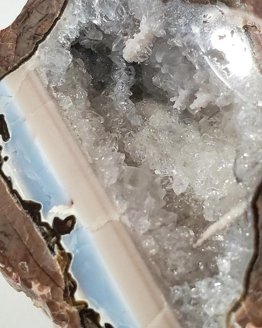 コレクターズアイテム】サンダーエッグ コレクターズアイテム