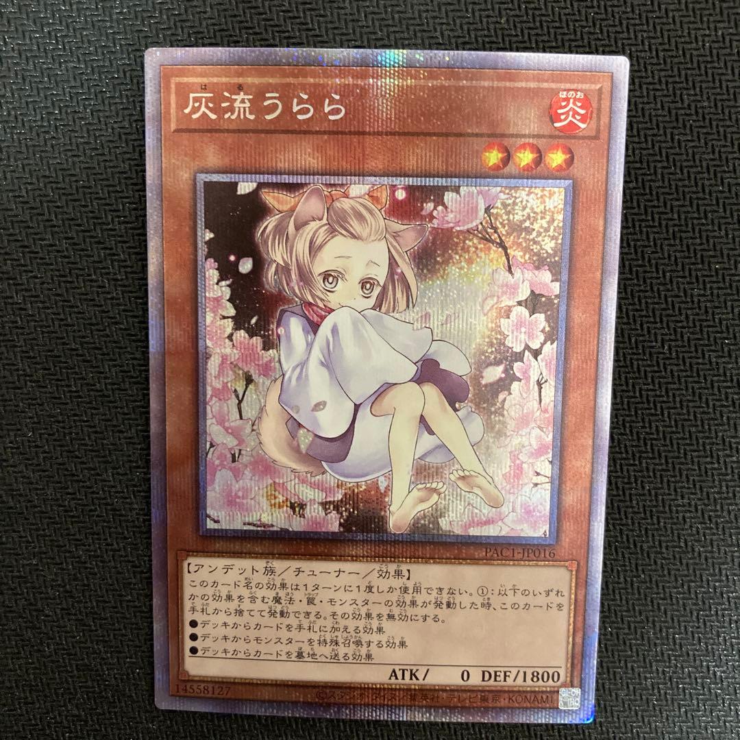 遊戯王　汎用娘　　絵違い　プリズマ　プリシク　4枚セット