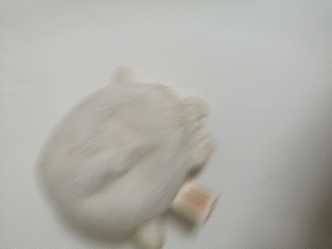 汚れたくまさん