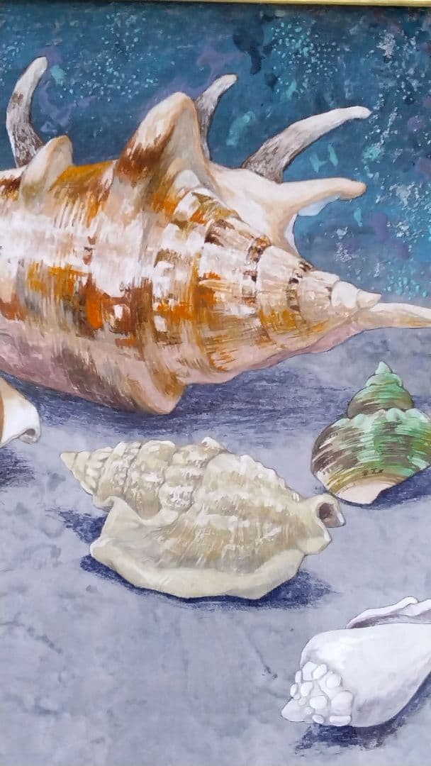 日本画「貝殻図」村越由子 3号