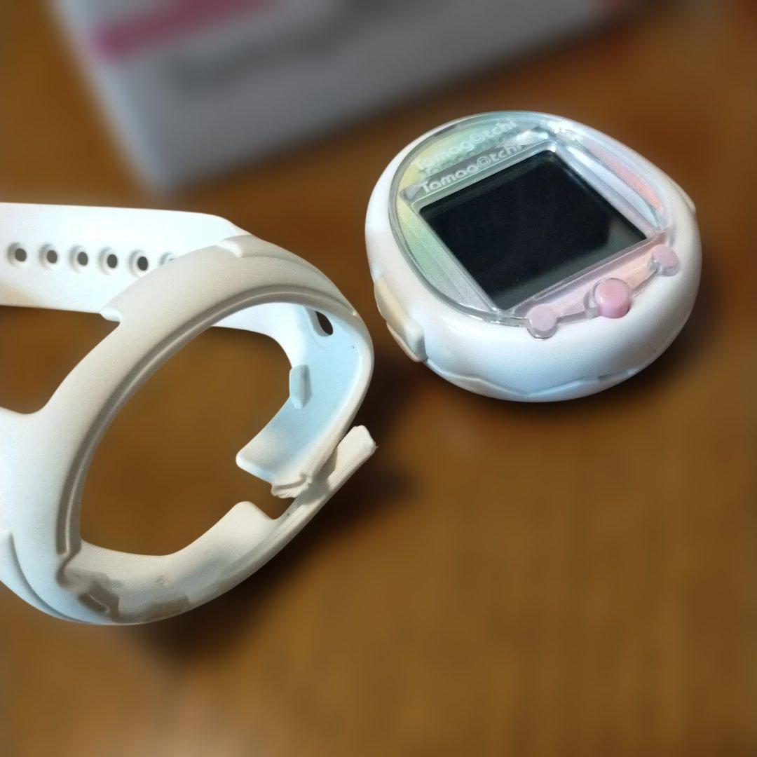 たまこっちスマート