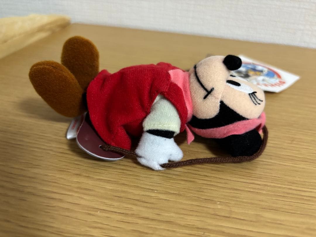 激レア　ディズニーオンツアー 長野 ミニー　ブランコ　ぬいぐるみ　#1