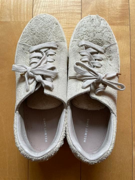 不毛の大地 渦巻く知識 思案 目くらまし日本語4枚セット