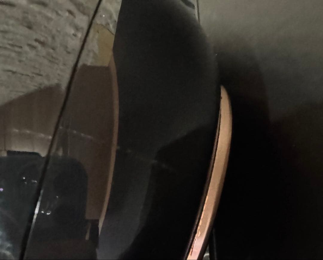 レプロナイザー4D Plus｜バイオプログラミング公式