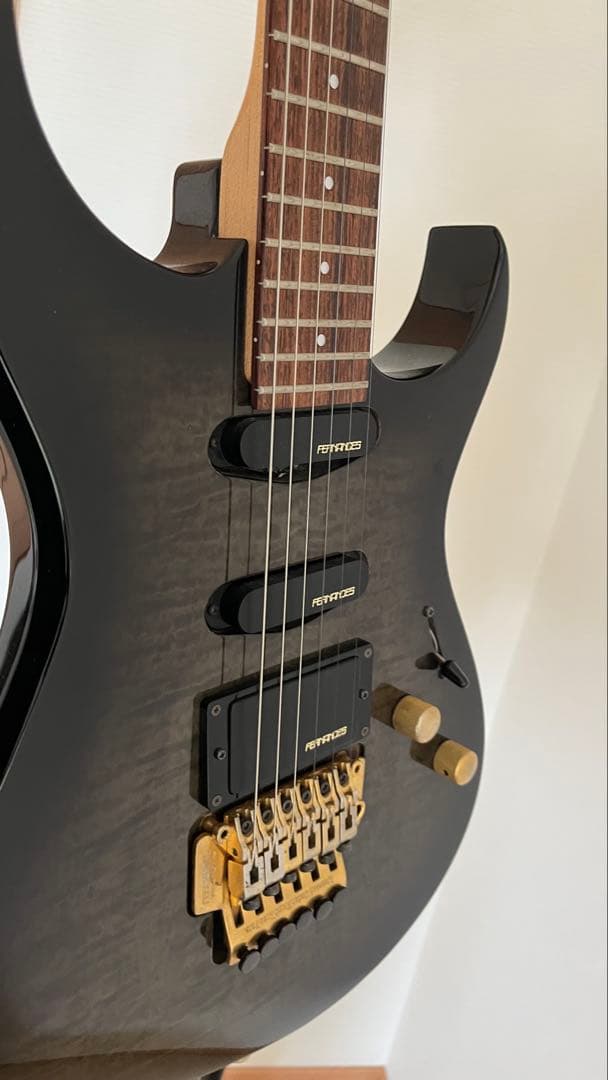 フェルナンデス　FGZ550