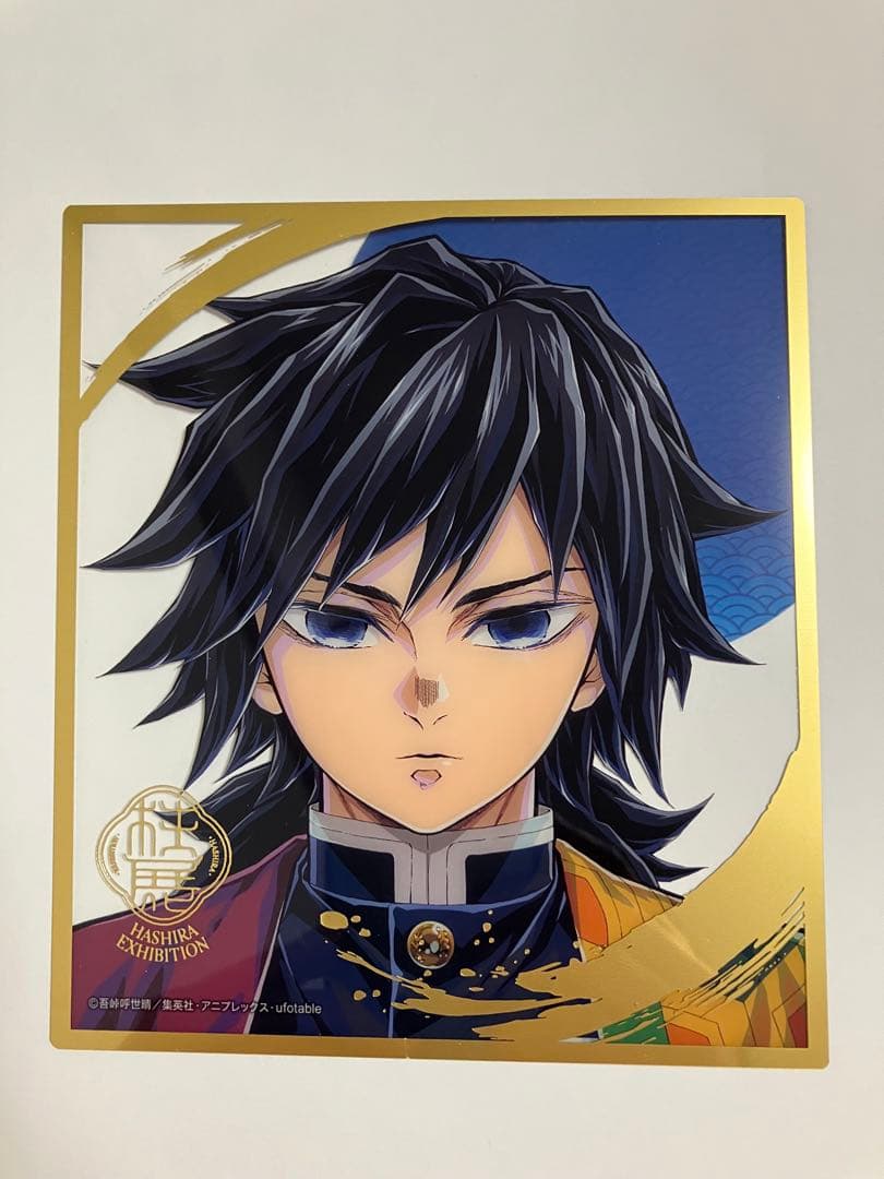 【柱展／無限城編】　冨岡義勇　5点セット