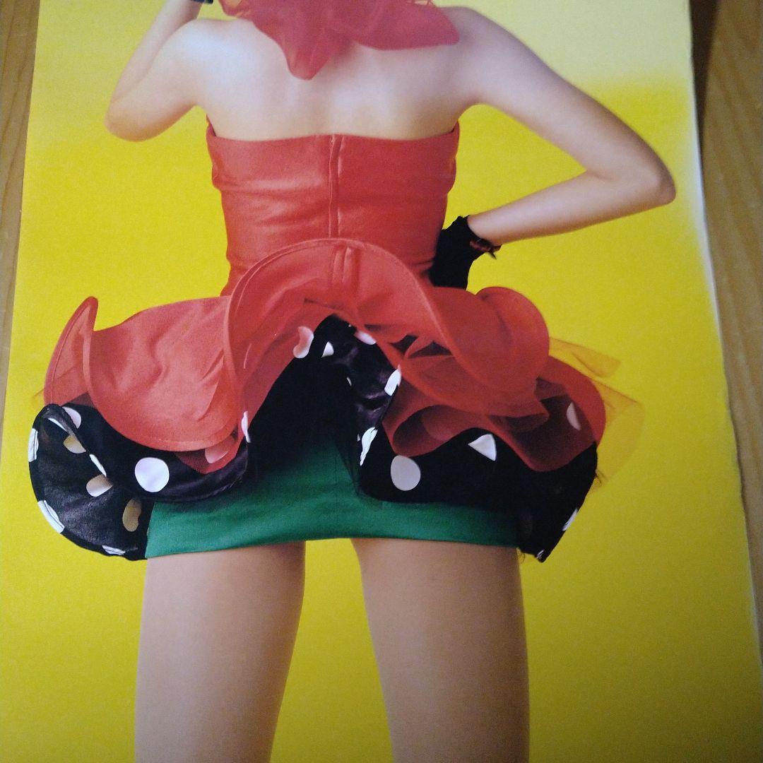 宍戸留美 大サイズポスター