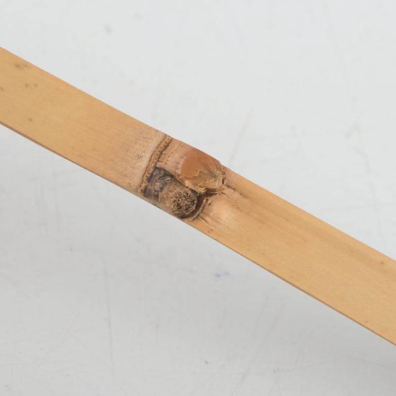 茶道具 影林宗篤作 茶杓 銘古今 前大徳 福本積應書付 共