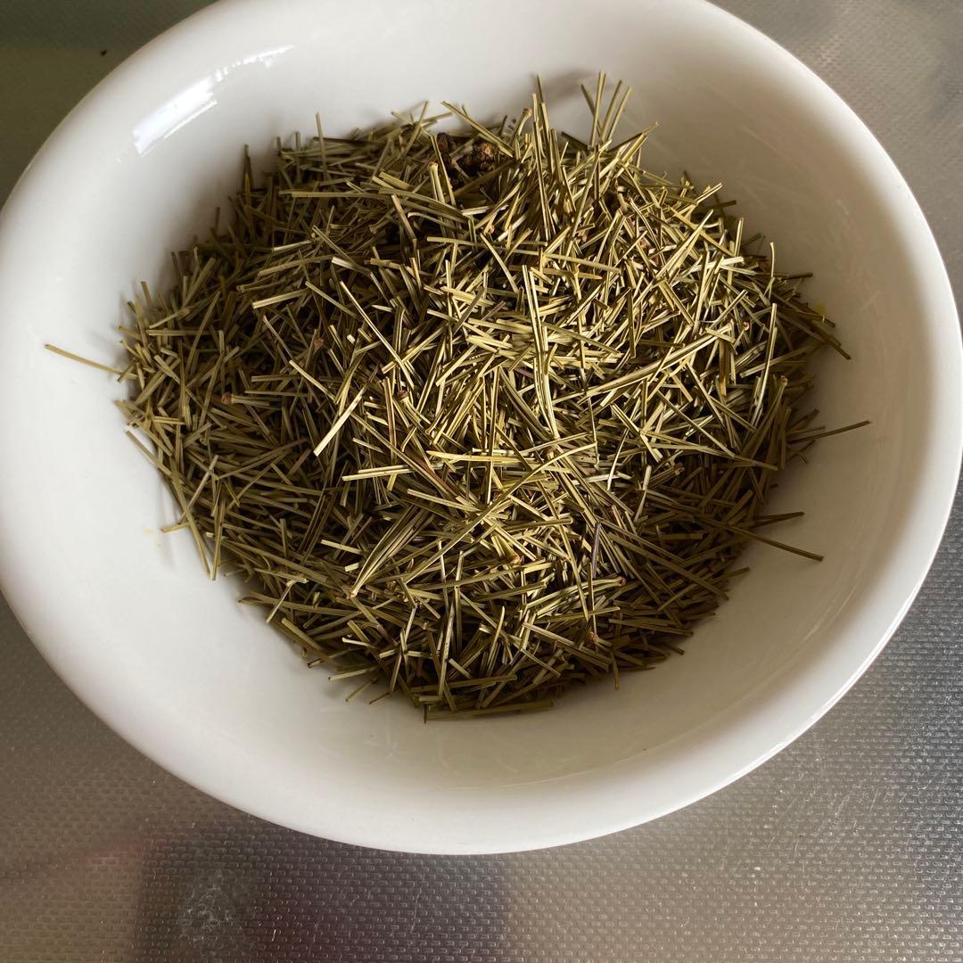 朝鮮五葉松 殻付き松の実2キロその他