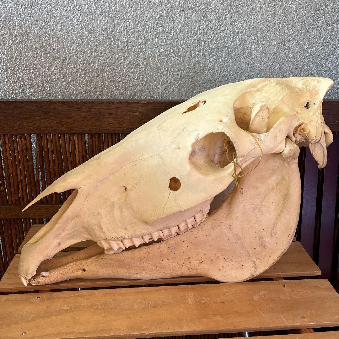 植松奎二銅版画作品(シート)