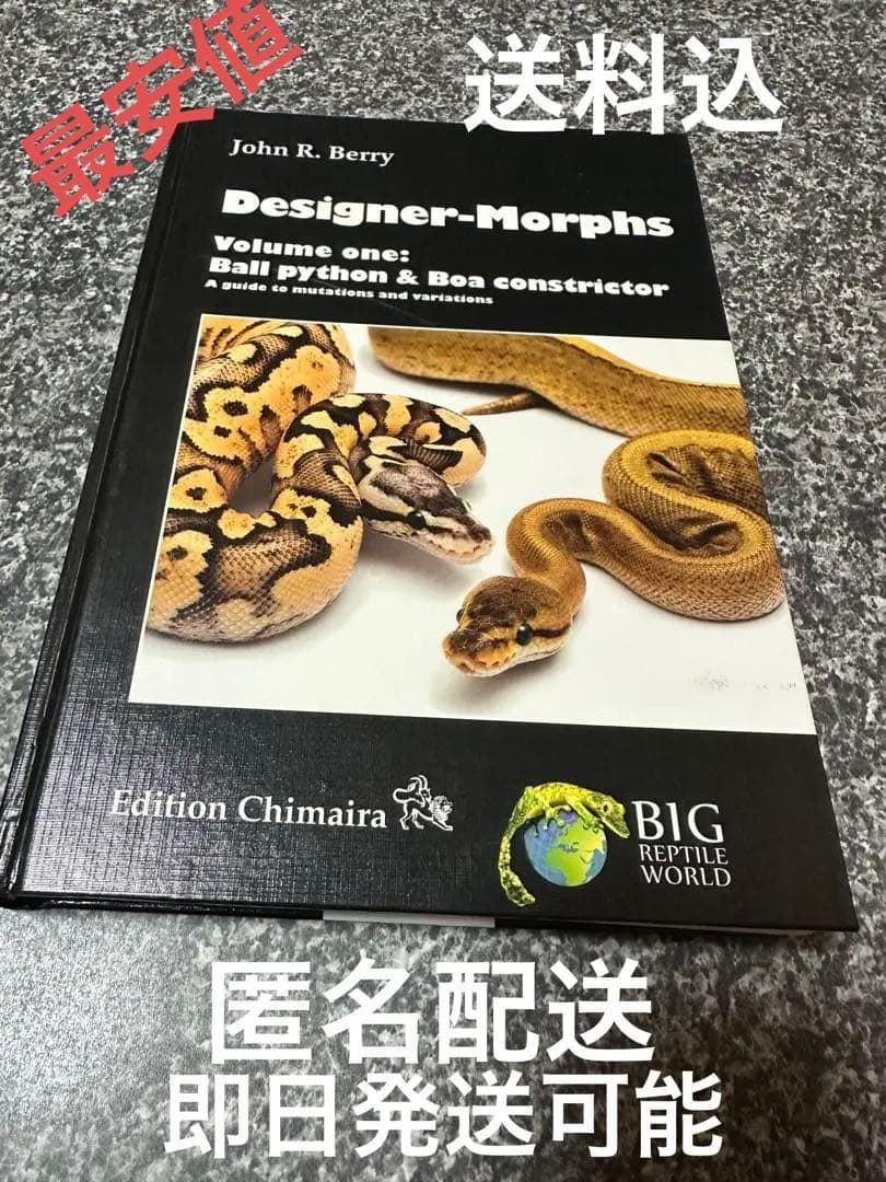 designer-morphs ボールパイソン　ボアコンストリクター　図鑑 designer-morphs ボールパイソン ボアコンストリクター 図鑑 Designer