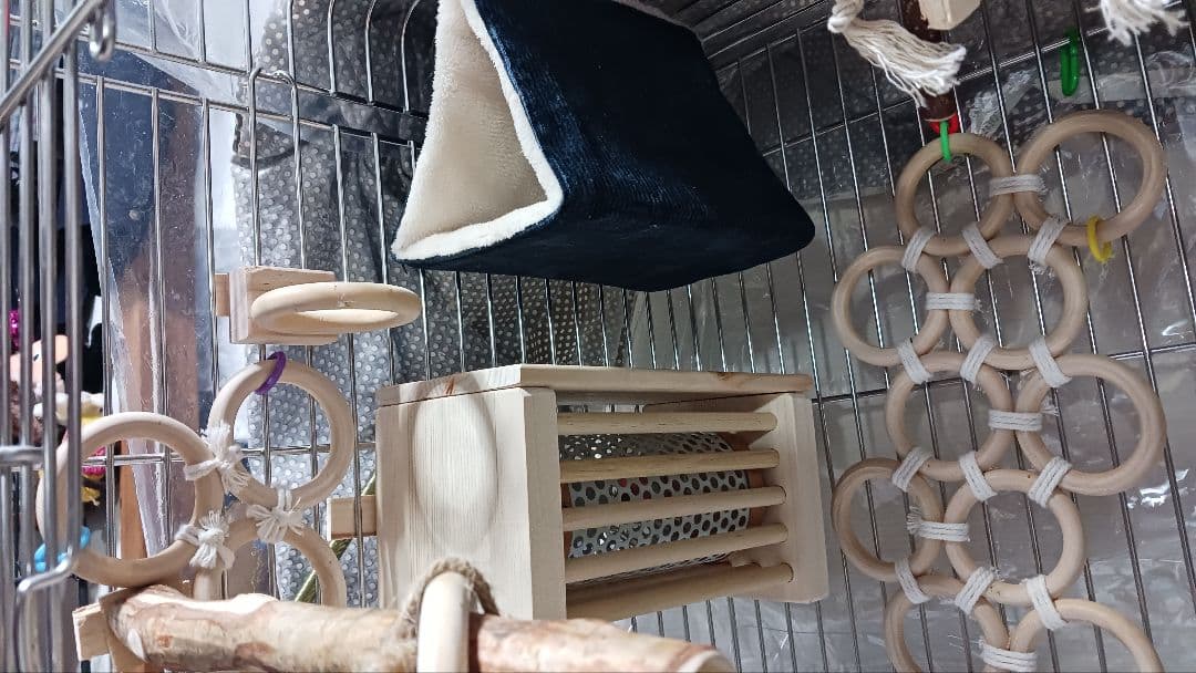 h1 あったかステージ 四角い止まり木 ヒーターいたずら防止 インコ 小動物