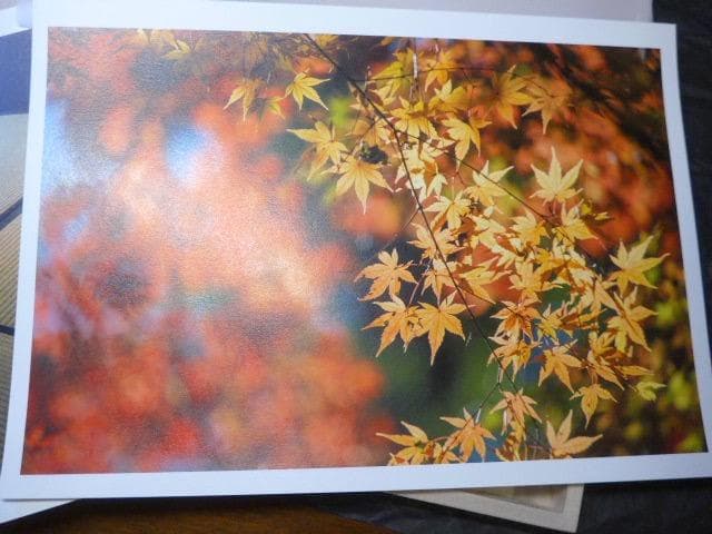 伊奈英次の「畠山記念館 四季のぬくもり」オリジナルプリント5点 20部