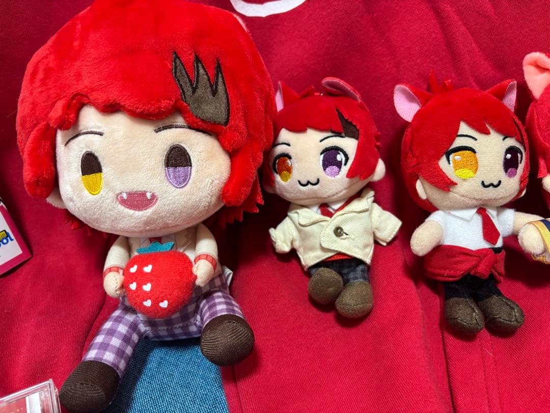 STPR RINU 莉犬くん　パーカー 本 キーホルダー缶バッジ等まとめ売り