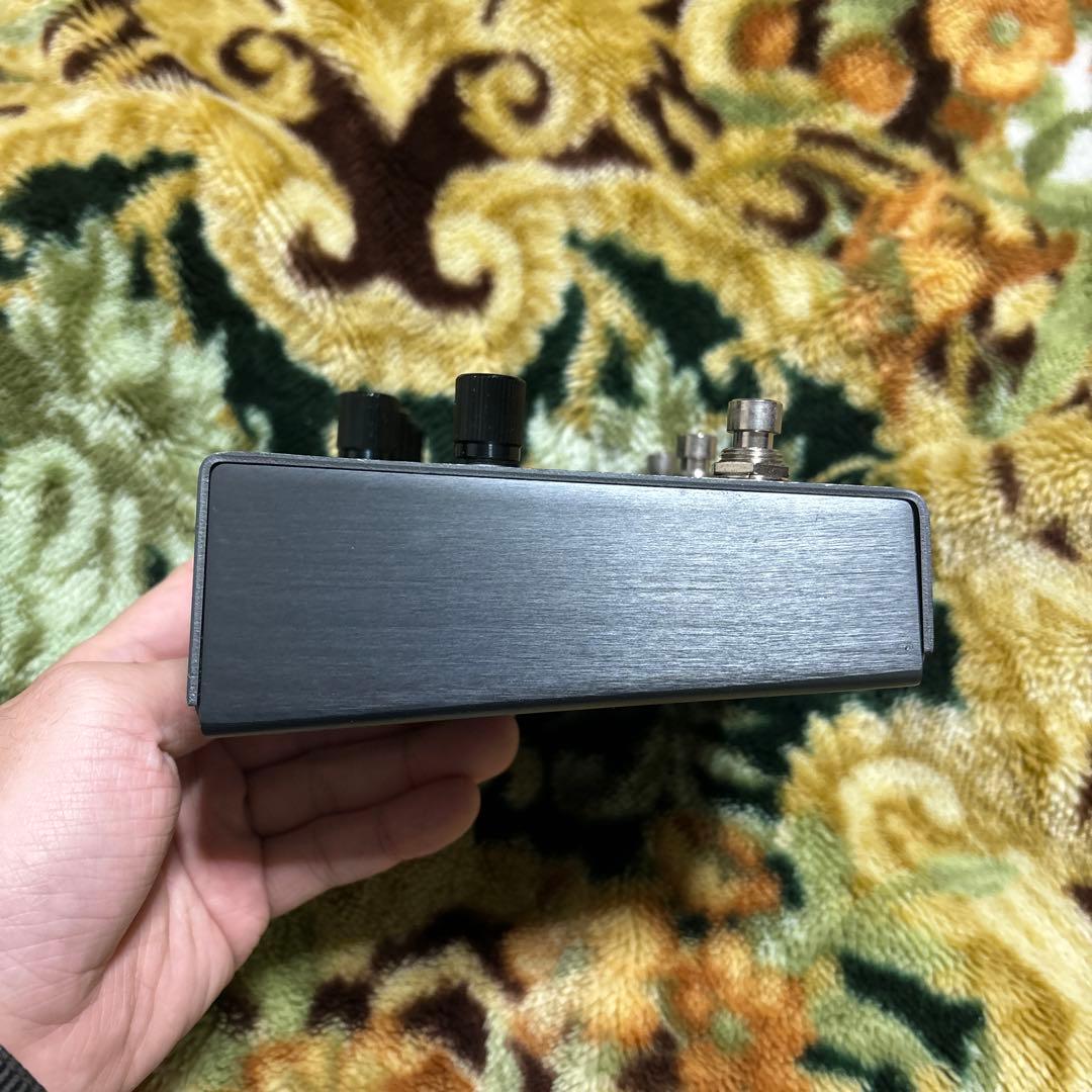 ギター TIMELINE / strymon