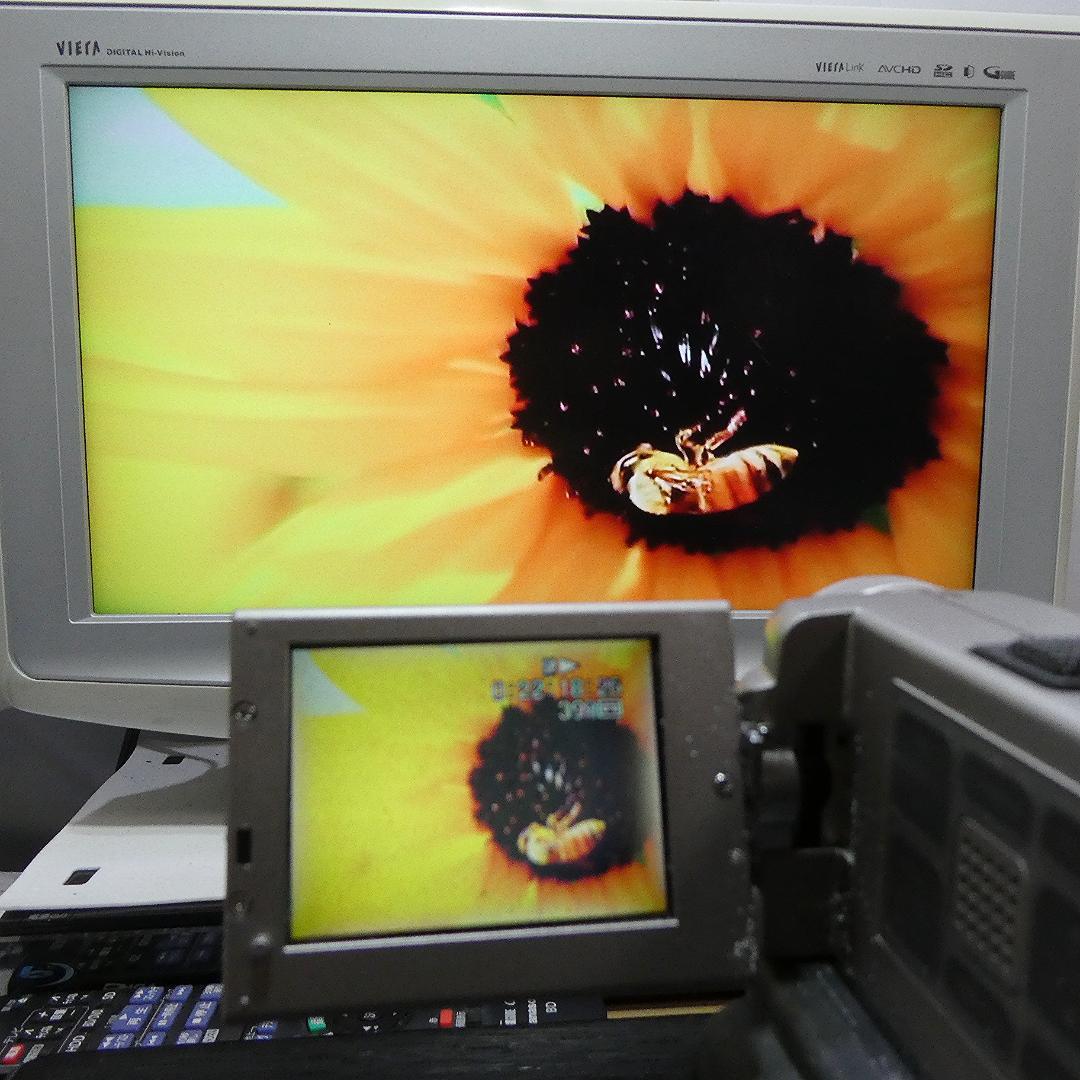 動作品 ソニーDCR-PC7 MiniDV ビデオカメラ DVDダビングに最適 - メルカリ