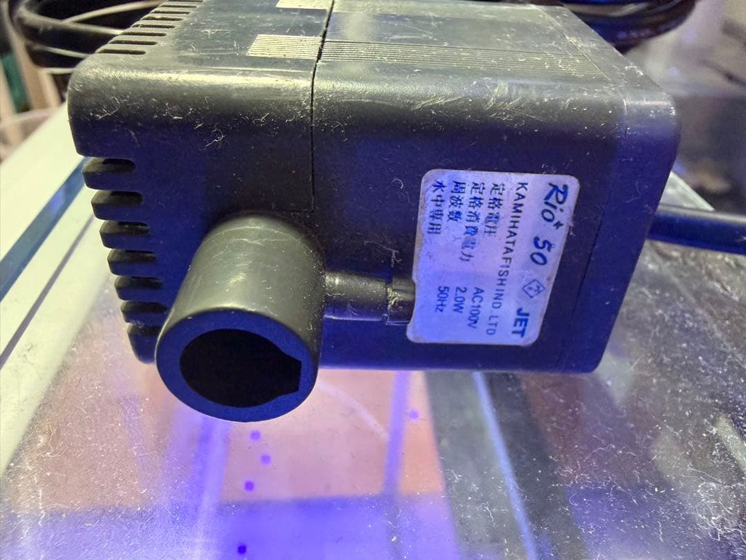 直接引き取り6045ガラス水槽 リフジウム水槽 その他おまけ付き - メルカリ