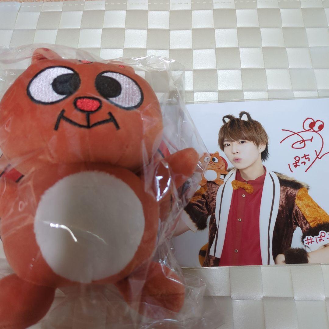 パンダドラゴン ふれんZOO ぱっち - メルカリ