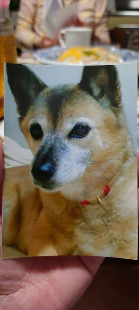 ＡＫＡＲＩさまへ